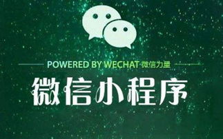 小程序定制開(kāi)發(fā)的未來(lái)趨勢(shì)與機(jī)遇